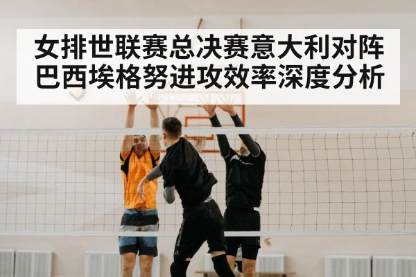 volleyball block net