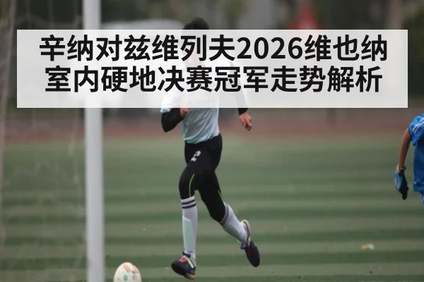 辛纳对兹维列夫2026维也纳室内硬地决赛冠军走势解析